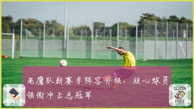 老鹰队新赛季阵容升级，核心球员领衔冲击总冠军