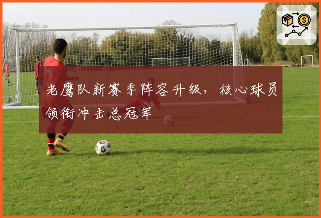 老鹰队新赛季阵容升级，核心球员领衔冲击总冠军